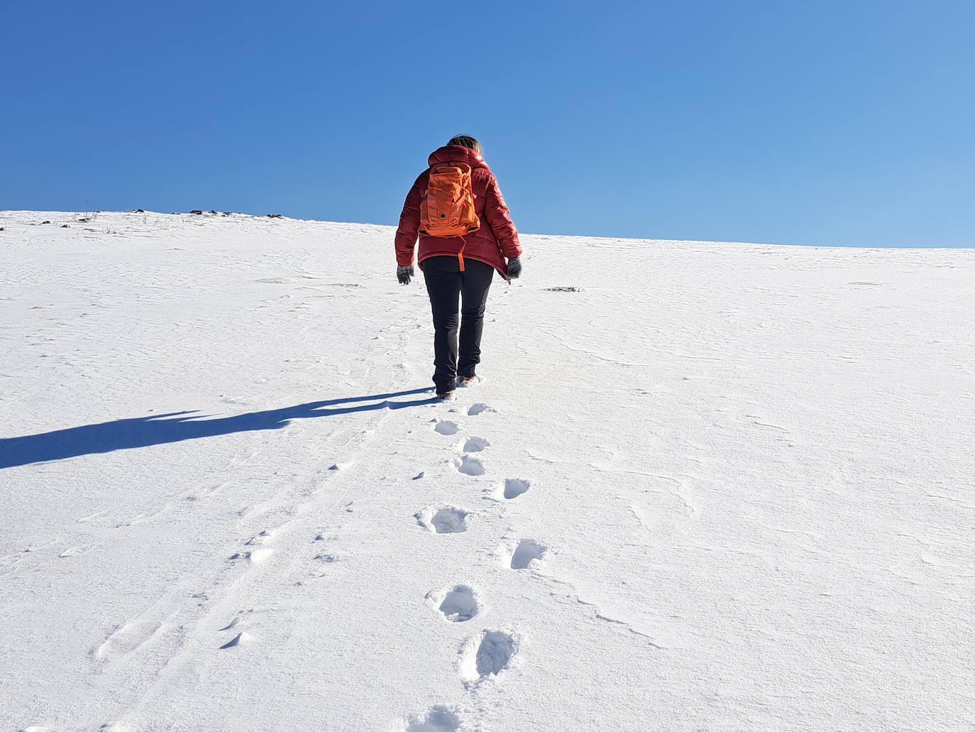 La cima de los mil secretos