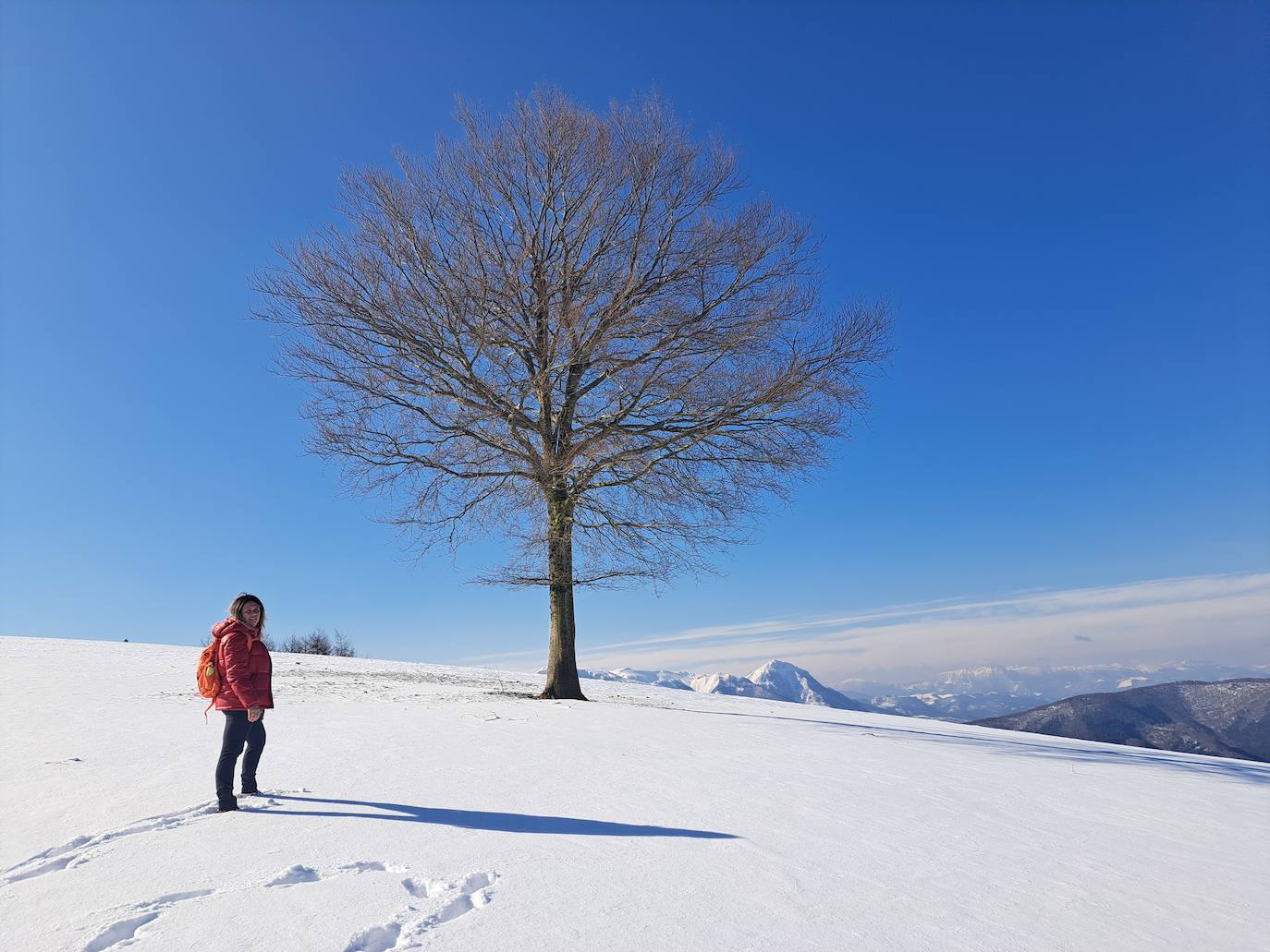 La cima de los mil secretos