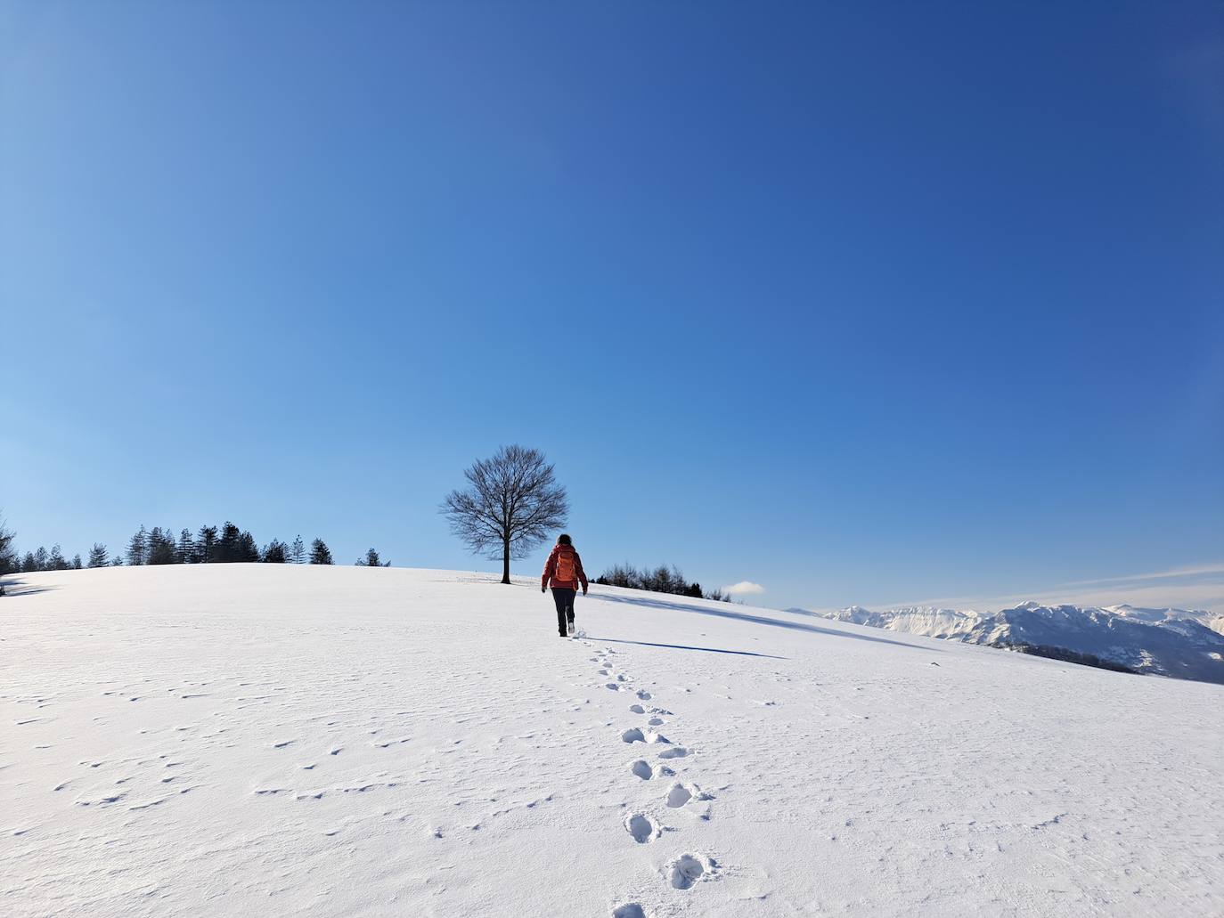 La cima de los mil secretos