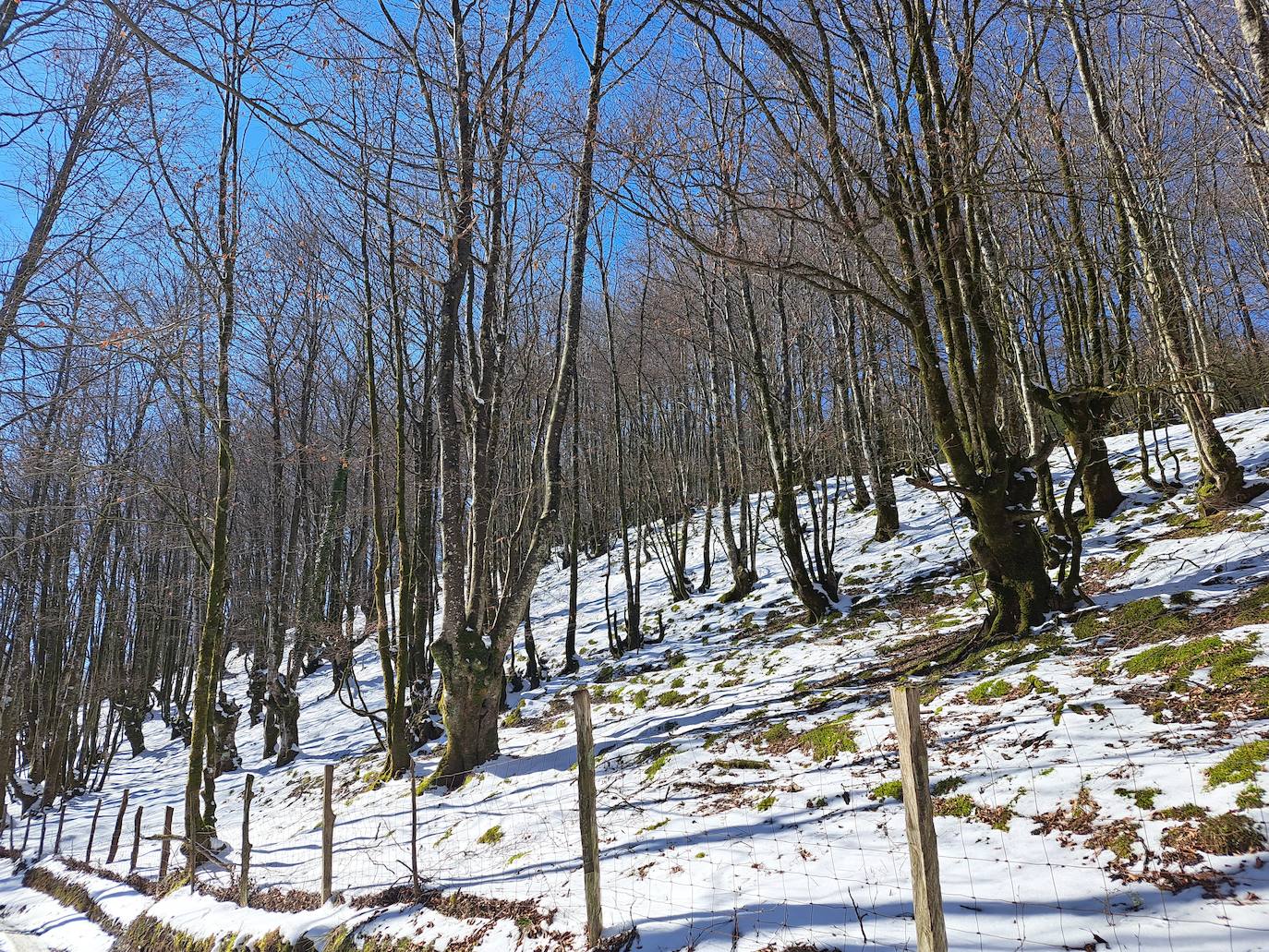 La cima de los mil secretos