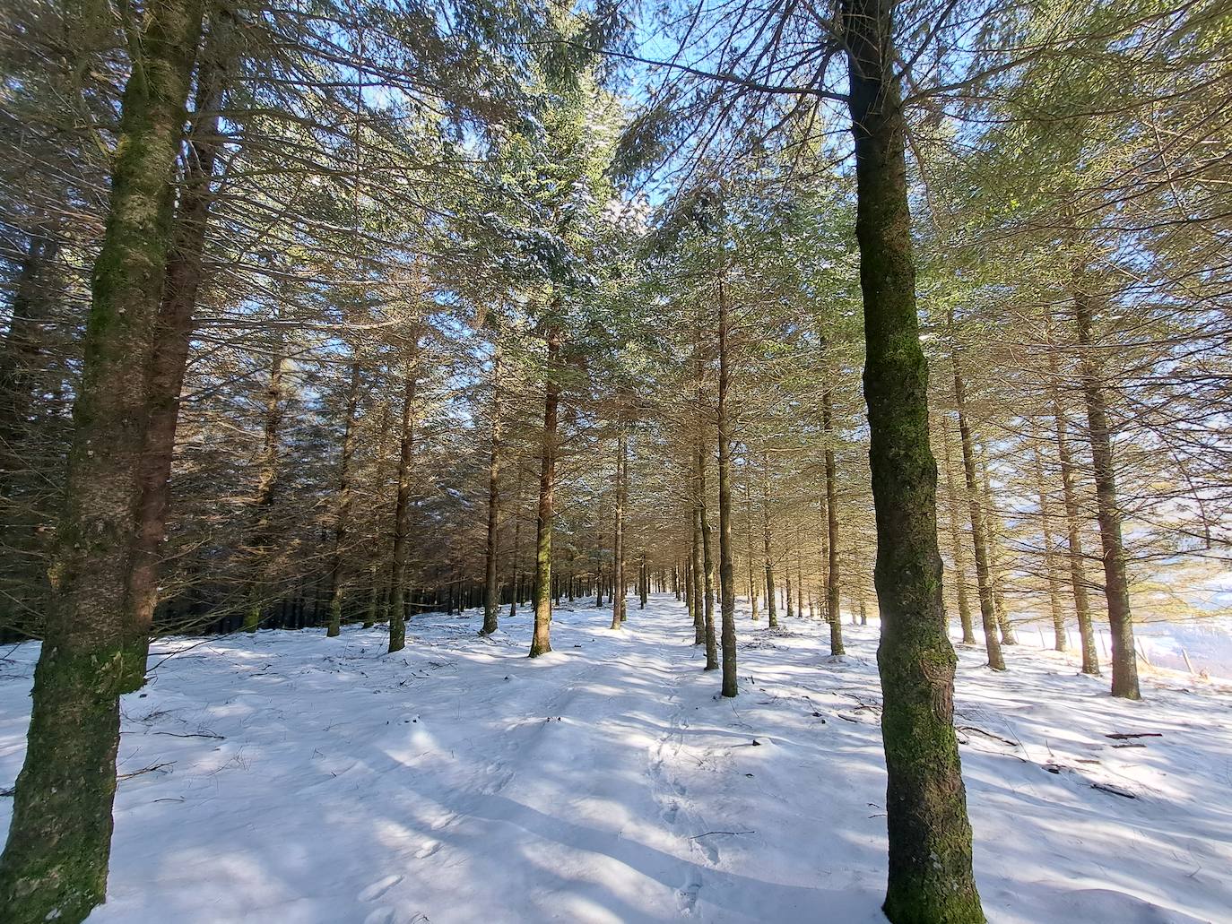 La cima de los mil secretos