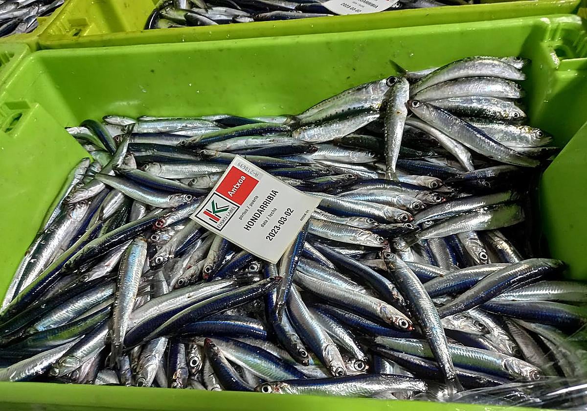 Venta de antxoa este jueves.