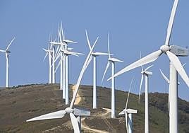 Tapia: «Hay que hacer ver a la gente que los parques renovables redundan en su beneficio»