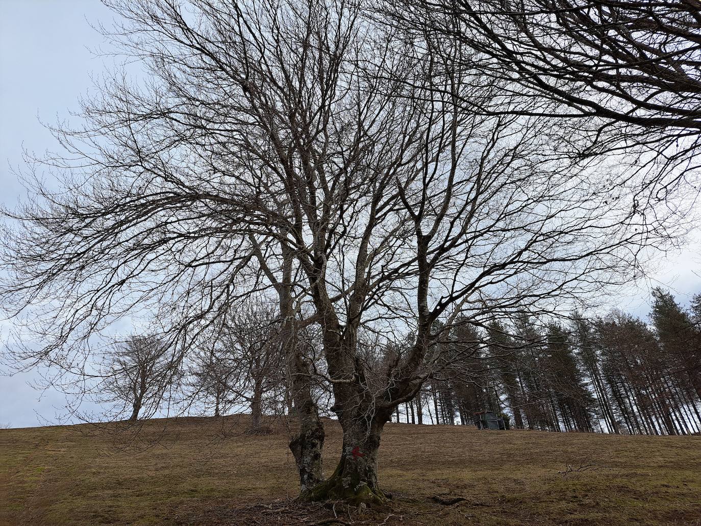 Las mejores imágenes de la ruta a Iruñarri