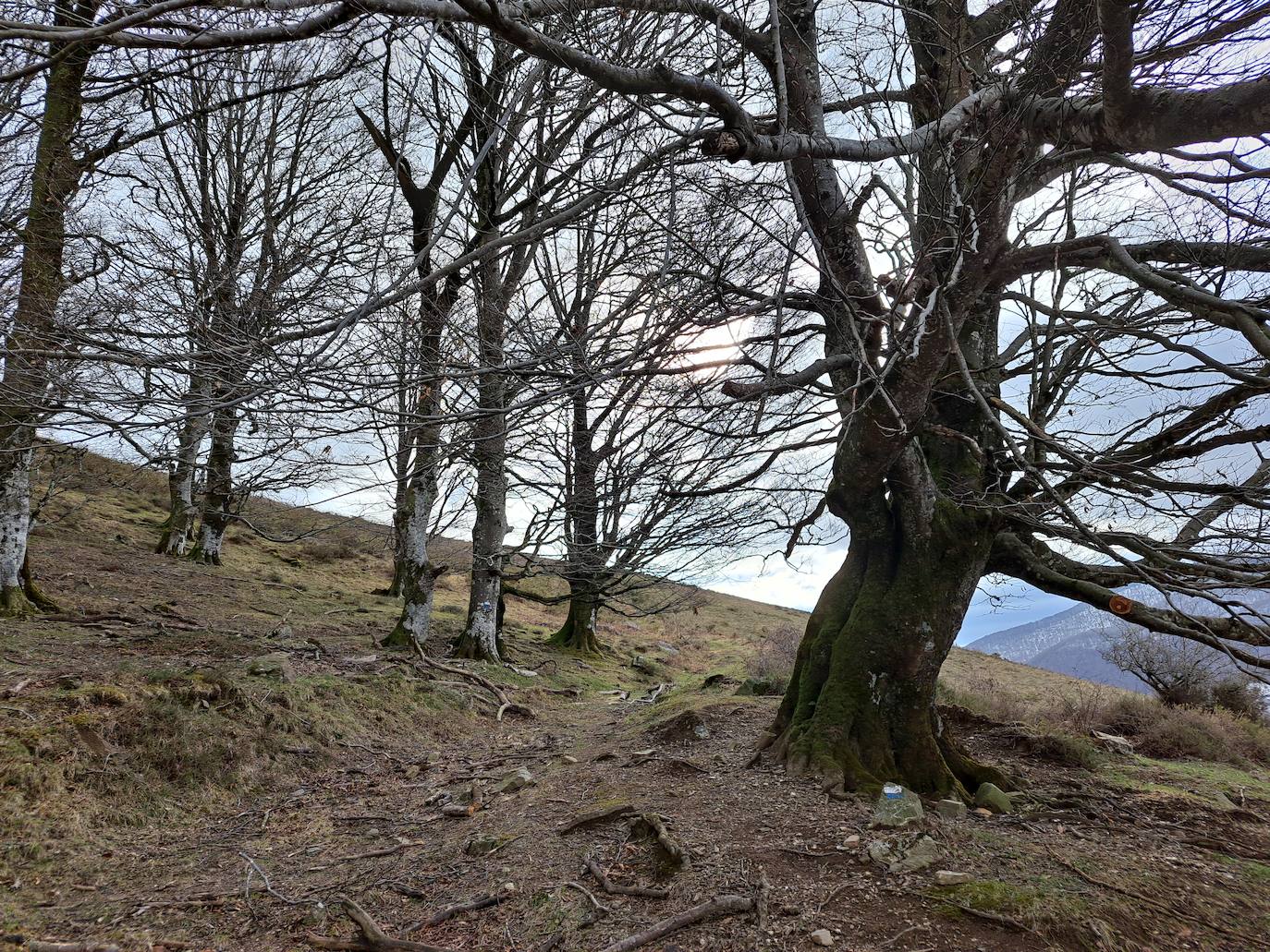 Las mejores imágenes de la ruta a Iruñarri