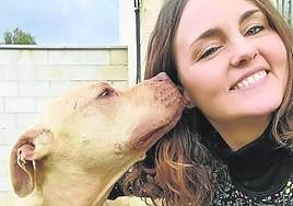 Intentan mejorar la vida de los perros abandonados.