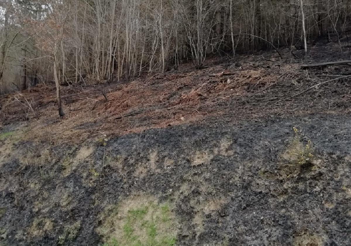 El fuego calcina hectárea y media de terreno