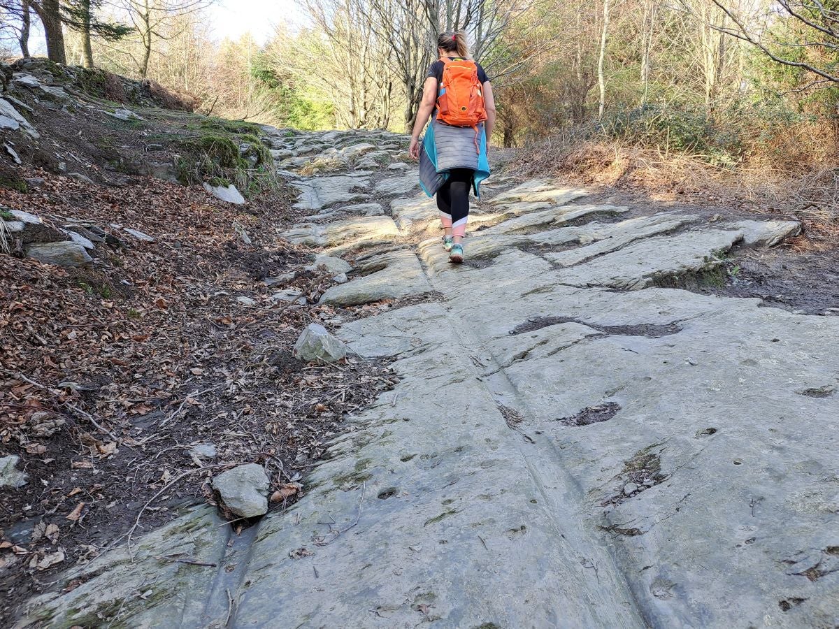 Las mejores fotos de la ruta por Pagoeta