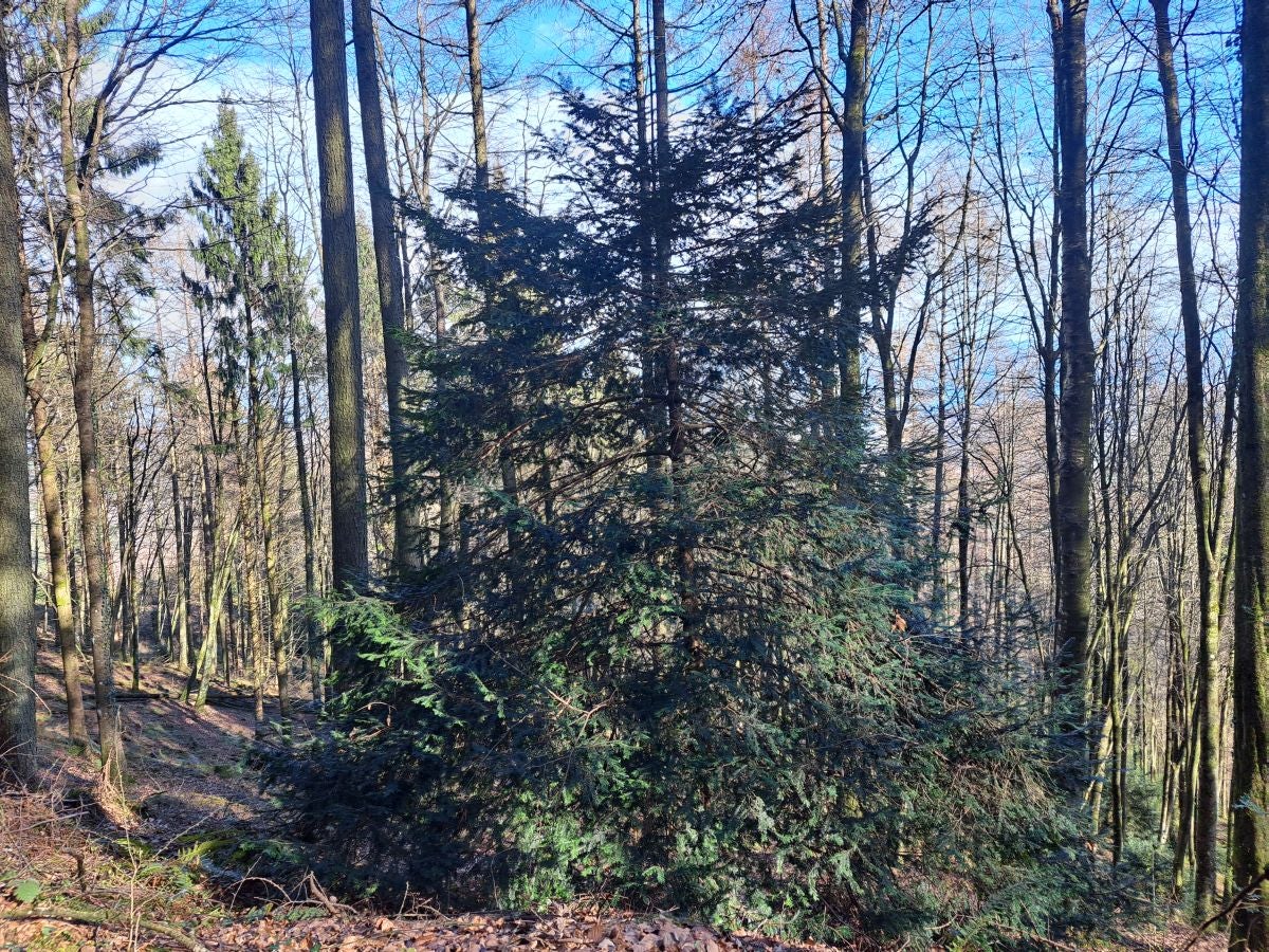 Las mejores fotos de la ruta por Pagoeta