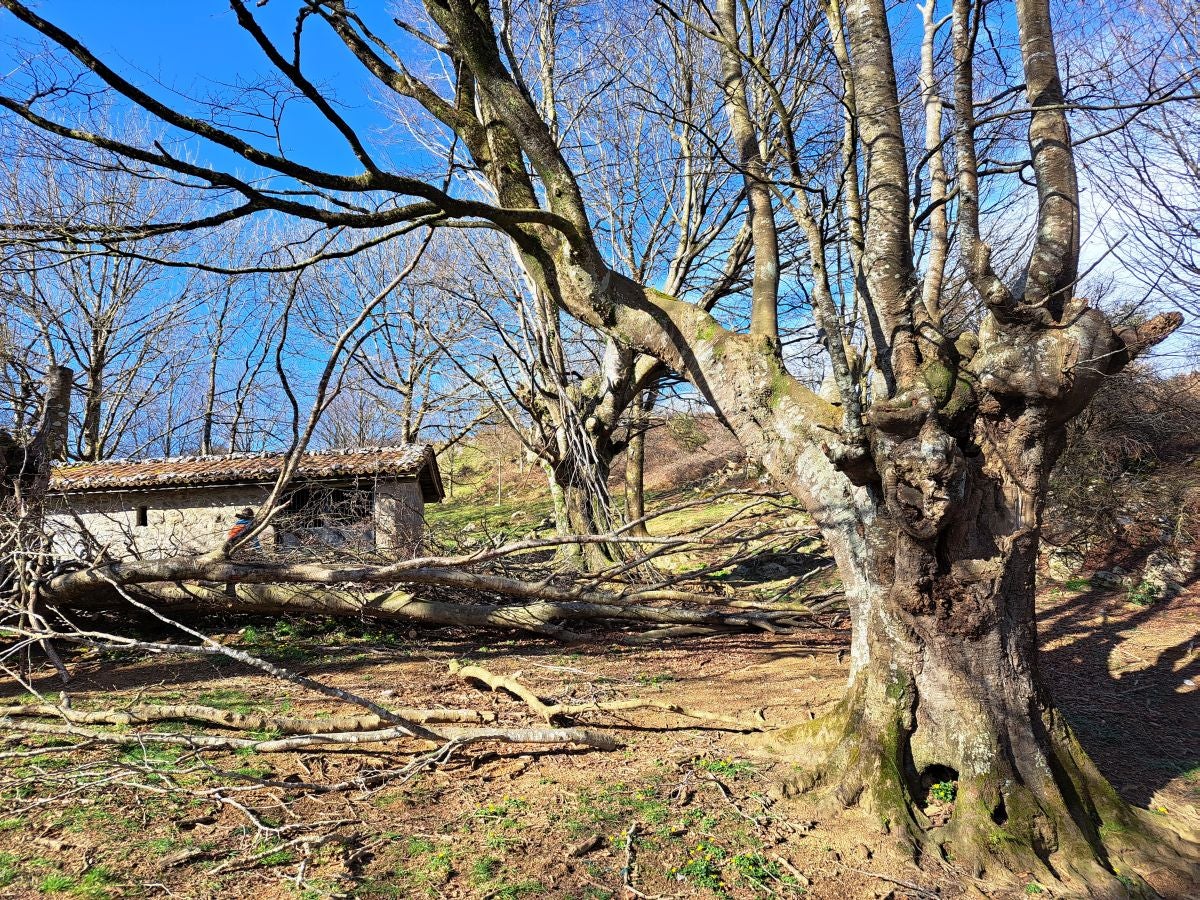 Las mejores fotos de la ruta por Pagoeta