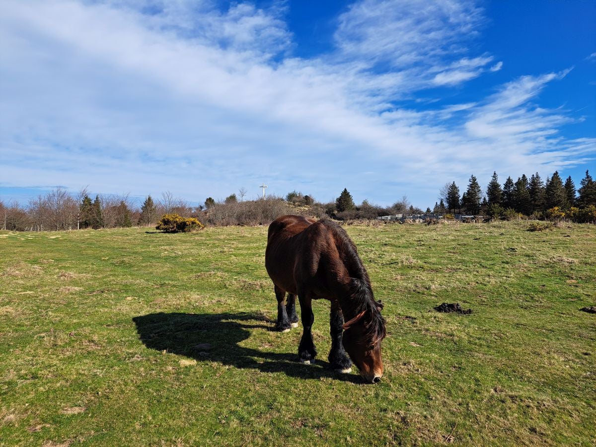 Las mejores fotos de la ruta por Pagoeta