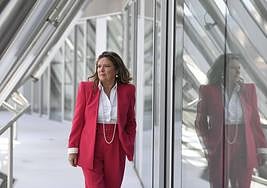 Sagardui defiende que se está «reforzando» la salud mental en Euskadi