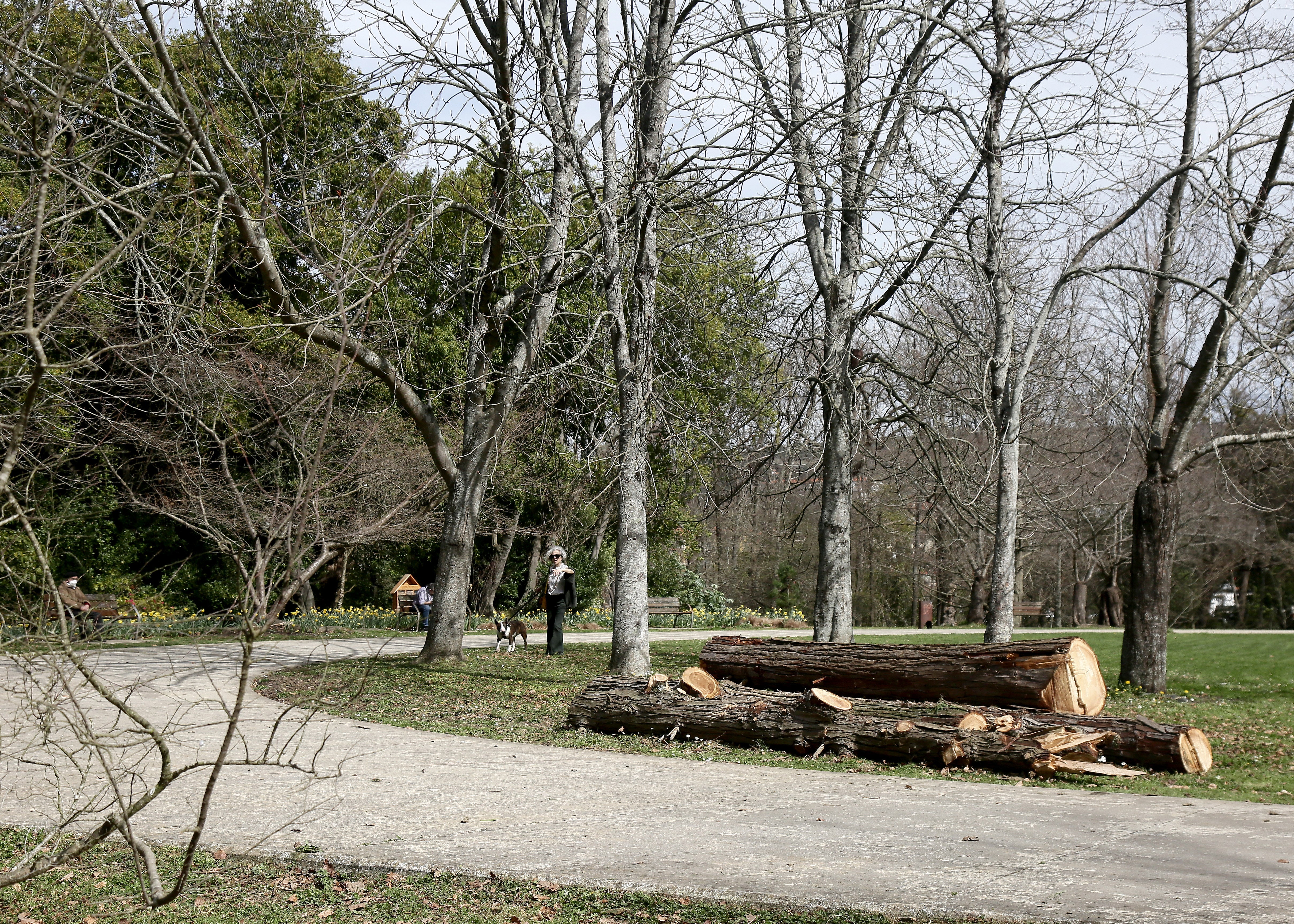 Cristina Enea, el legado del Duque de Mandas