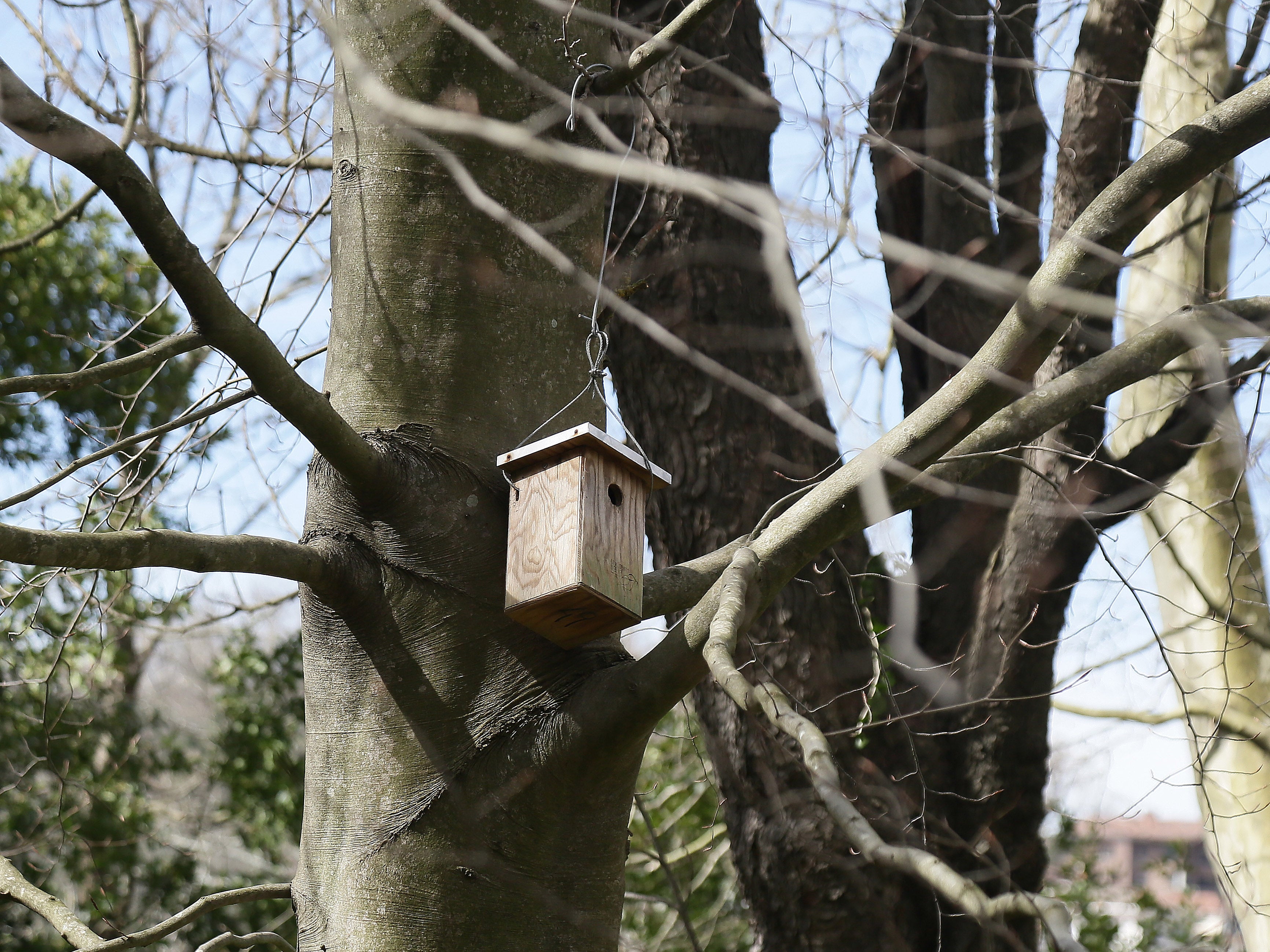 Cristina Enea, el legado del Duque de Mandas
