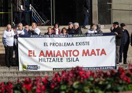 La asociación de víctimas del amianto de Euskadi en una concentración el mes pasado.