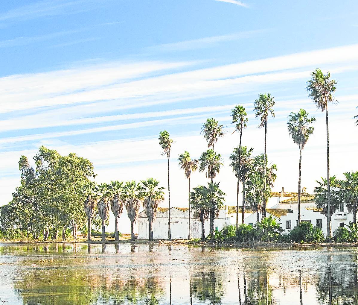 Destinos Delta del Ebro Una isla verde de naturaleza infinita El