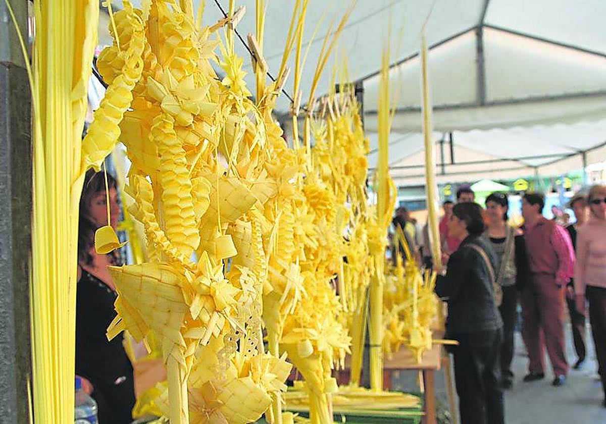 Elche, la ciudad de la palma blanca