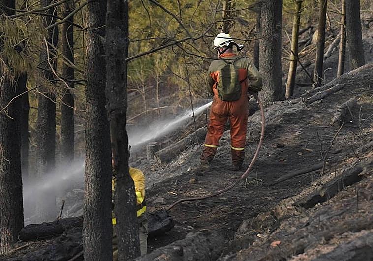 Los bomberos en el incendio de Zestoa este miércoles.