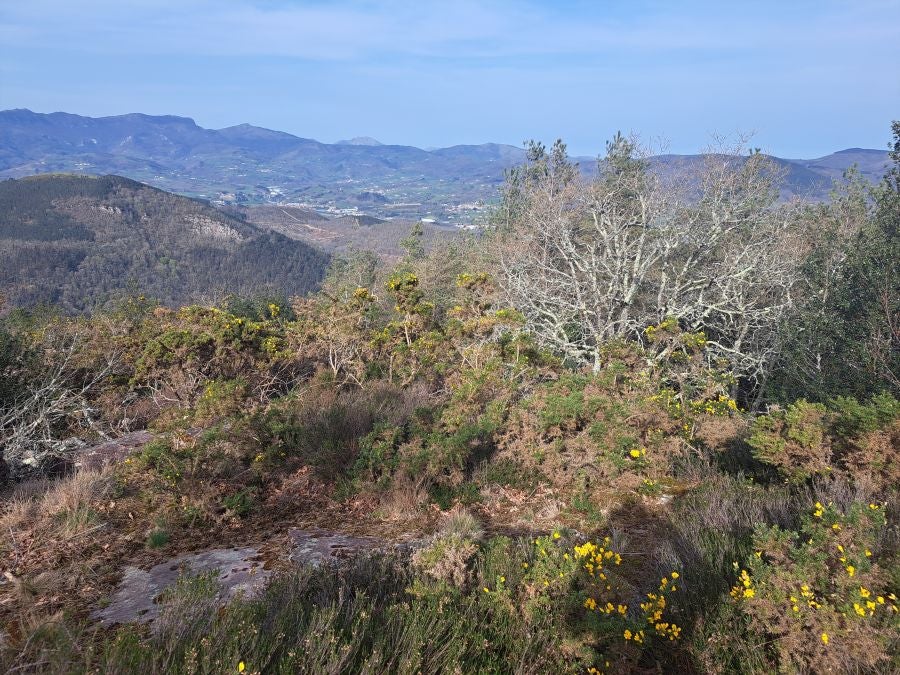 Oindo: Un precioso paraje entre Gipuzkoa y Navarra