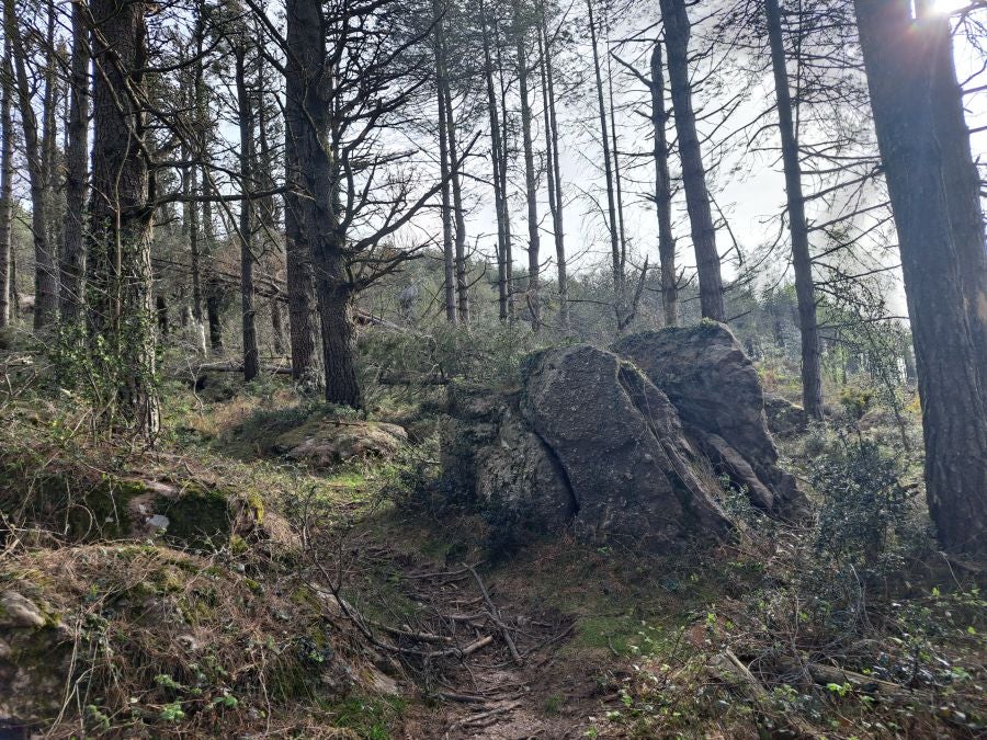 Oindo: Un precioso paraje entre Gipuzkoa y Navarra