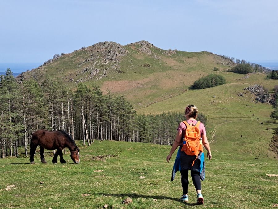Oindo: Un precioso paraje entre Gipuzkoa y Navarra