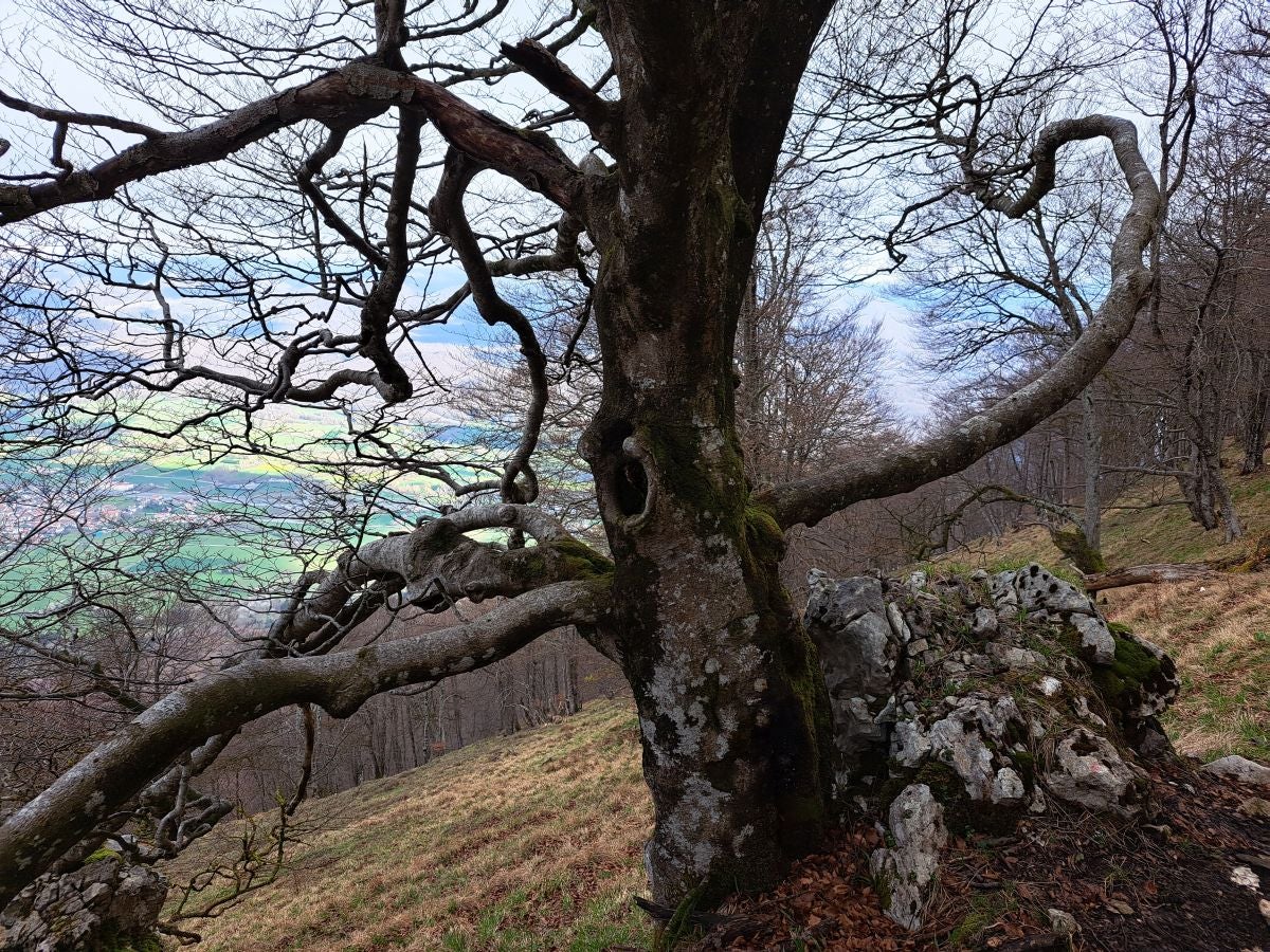 Santa Marina, un balcón en la Sierra de Urbasa