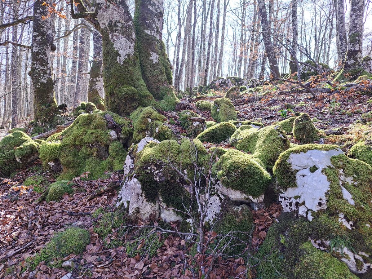 Santa Marina, un balcón en la Sierra de Urbasa