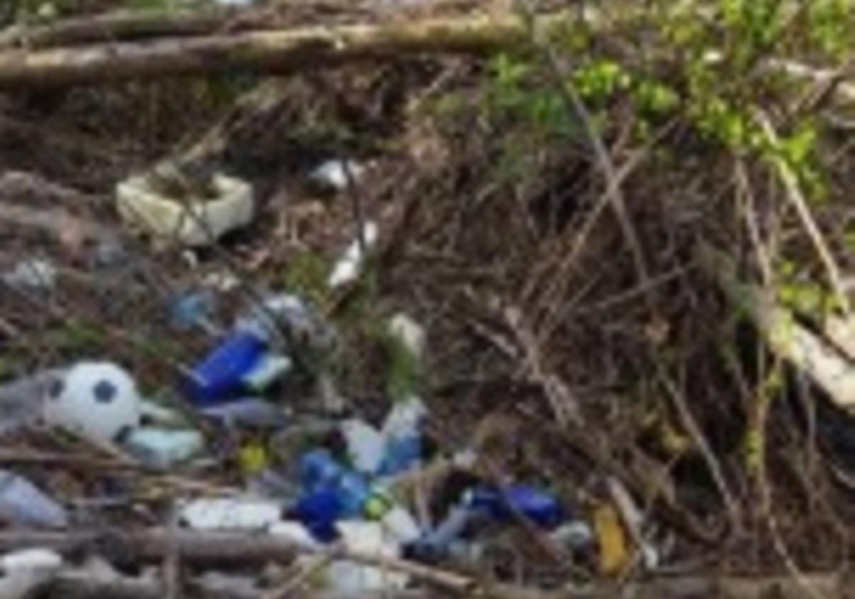 Basura en zonas naturales.