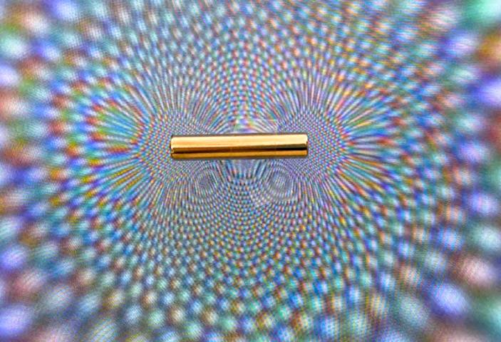 &#039;Fotciencia 18&#039;