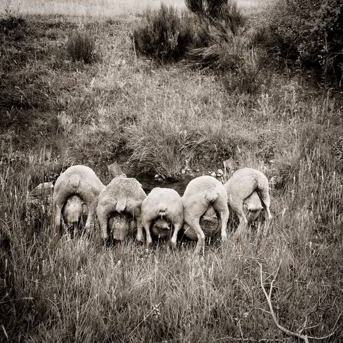 &#039;Fotciencia 18&#039;