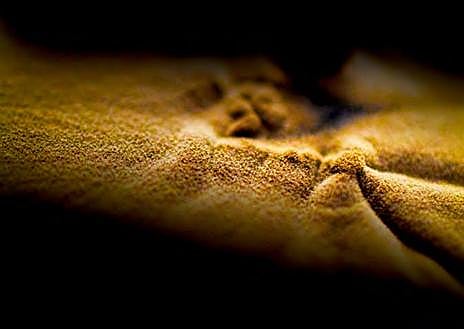 Imagen secundaria 1 - &#039;Fotciencia 18&#039;, una mirada al mundo a escala nanoscópica