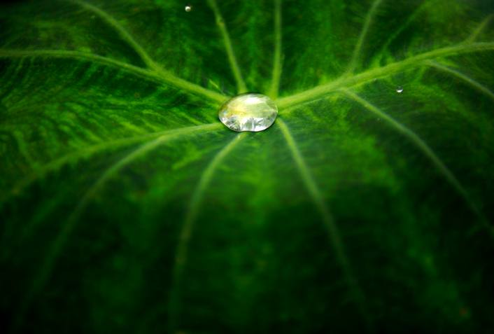 &#039;Fotciencia 18&#039;