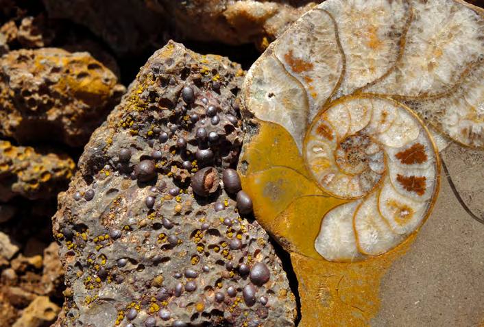 &#039;Fotciencia 18&#039;