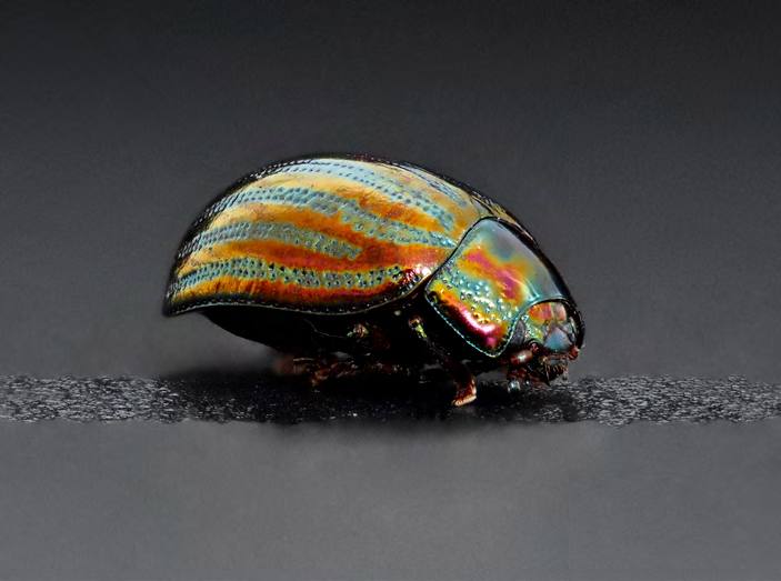 &#039;Fotciencia 18&#039;