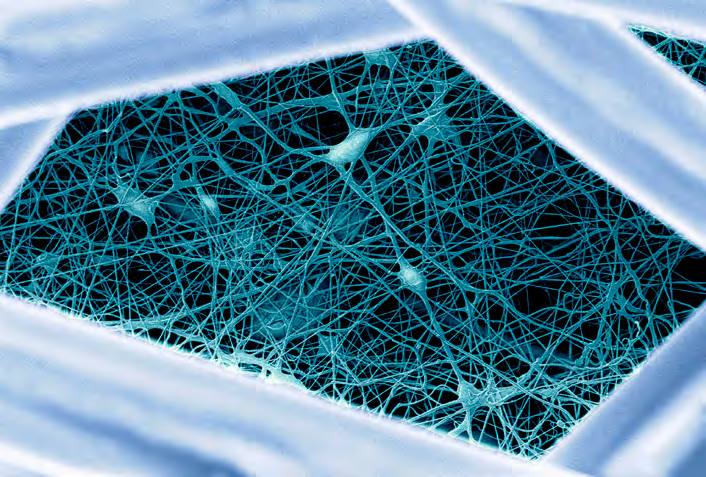 &#039;Fotciencia 18&#039;