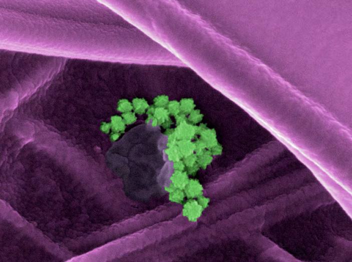 &#039;Fotciencia 18&#039;