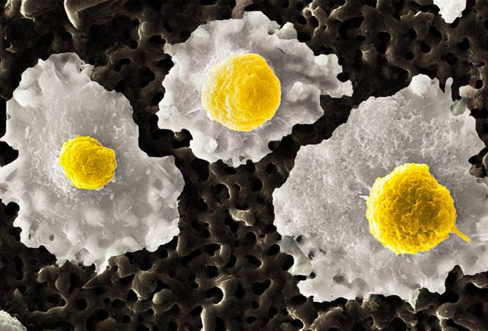 &#039;Fotciencia 18&#039;