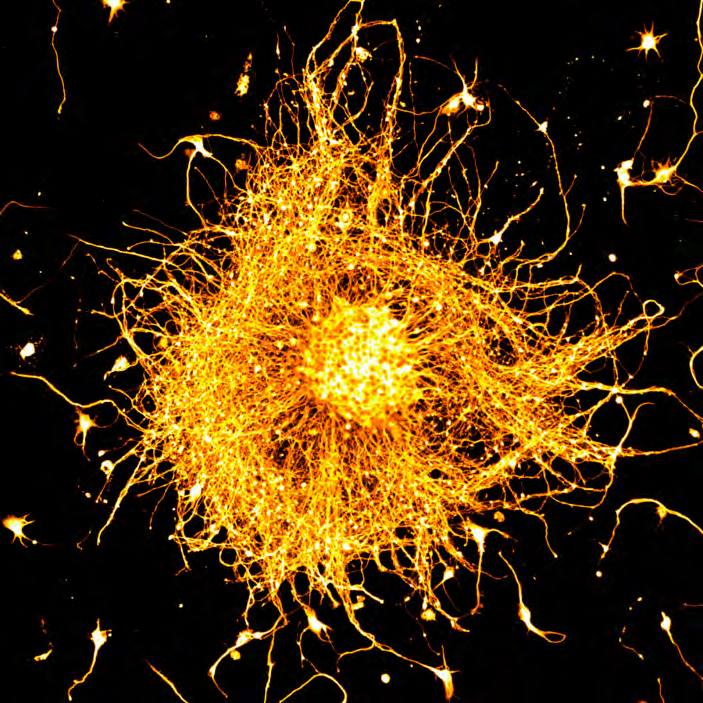 &#039;Fotciencia 18&#039;