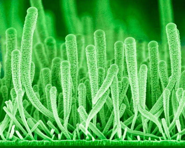 &#039;Fotciencia 18&#039;