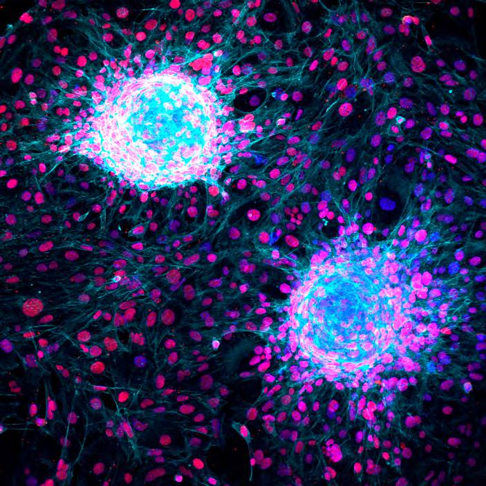 &#039;Fotciencia 18&#039;