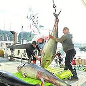 Un proyecto «muy alejado de los espacios naturales protegidos»