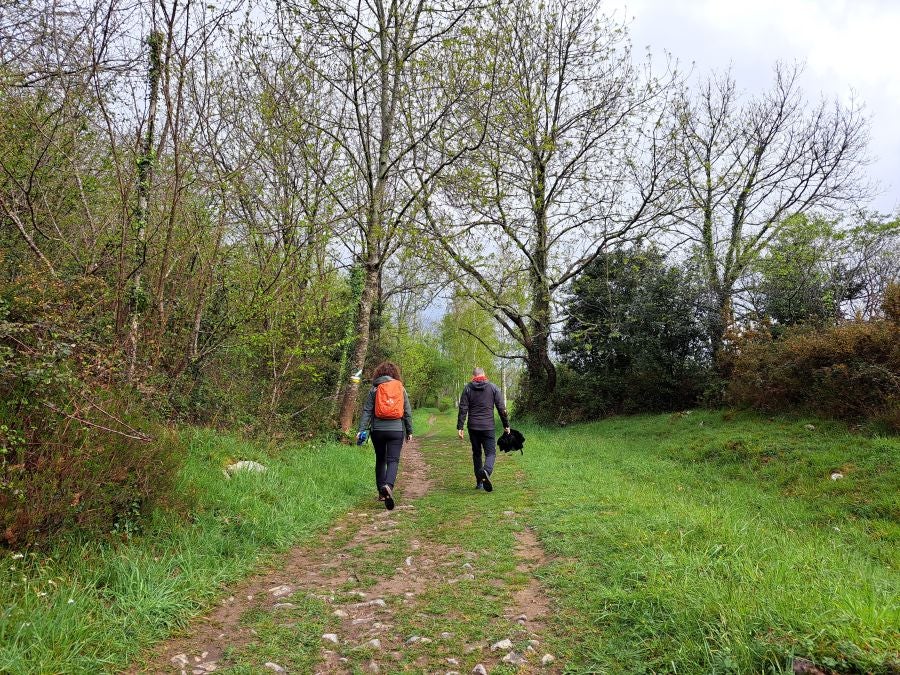 Txoritokieta: Un recorrido sencillo cargado de historia