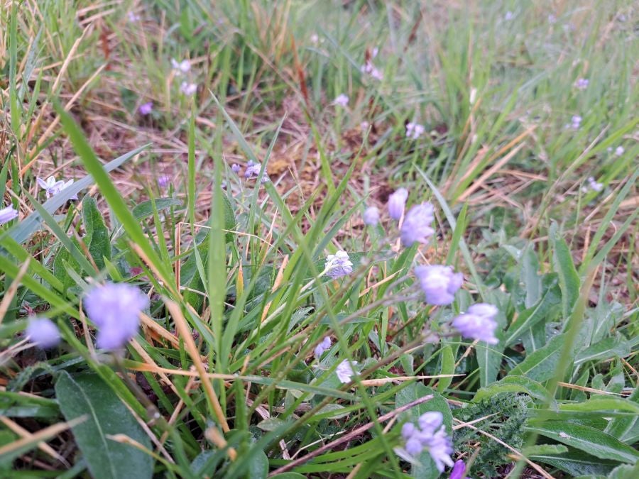 Txoritokieta: Un recorrido sencillo cargado de historia