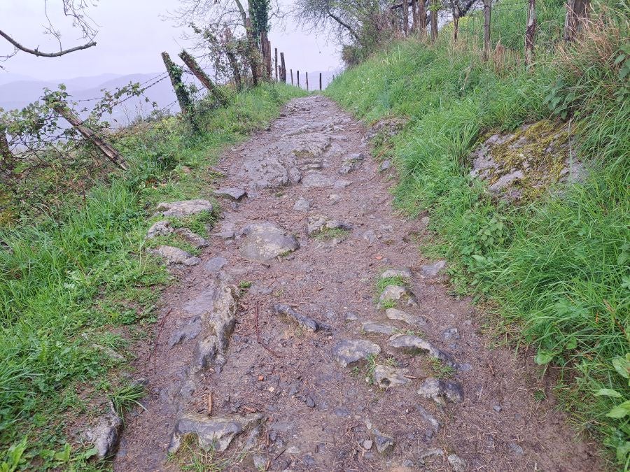 Txoritokieta: Un recorrido sencillo cargado de historia