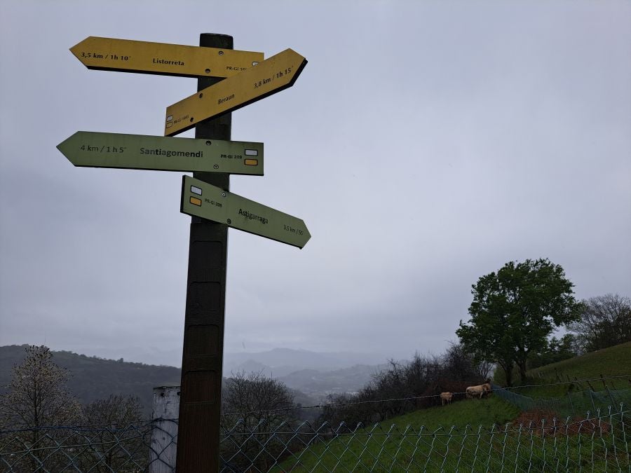 Txoritokieta: Un recorrido sencillo cargado de historia