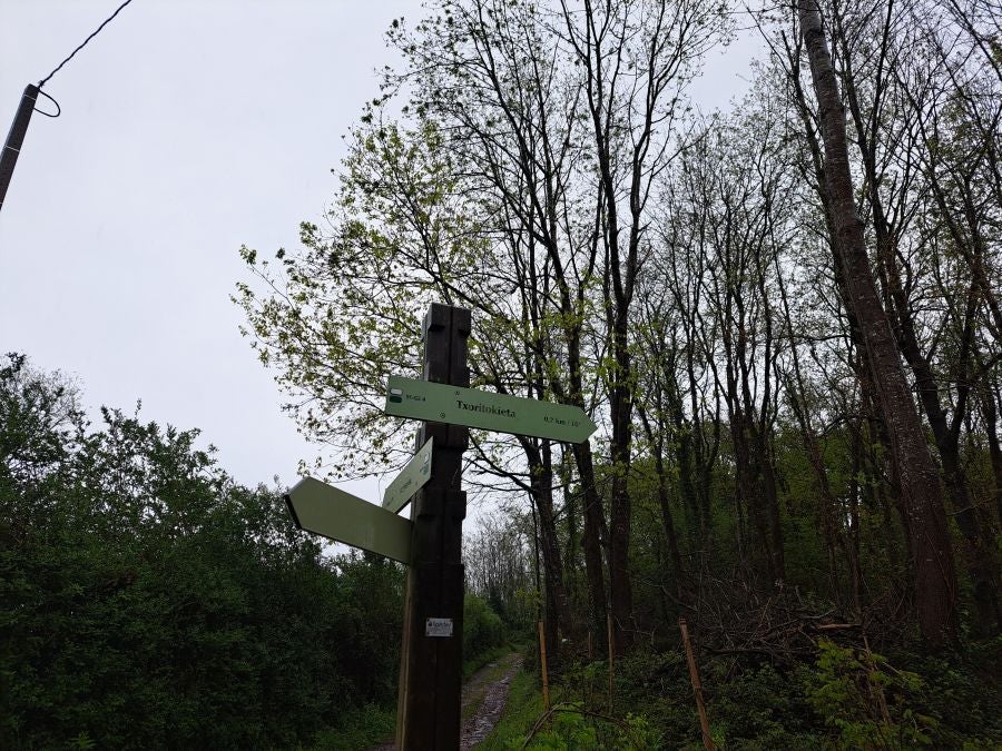 Txoritokieta: Un recorrido sencillo cargado de historia