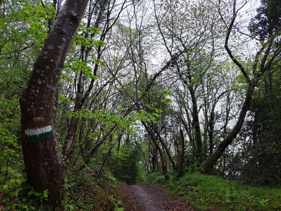 Txoritokieta: Un recorrido sencillo cargado de historia