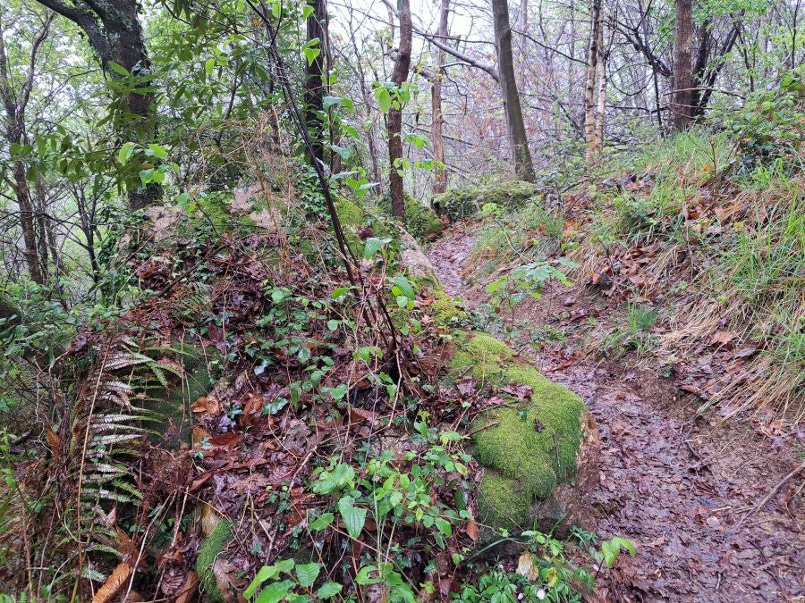 Txoritokieta: Un recorrido sencillo cargado de historia