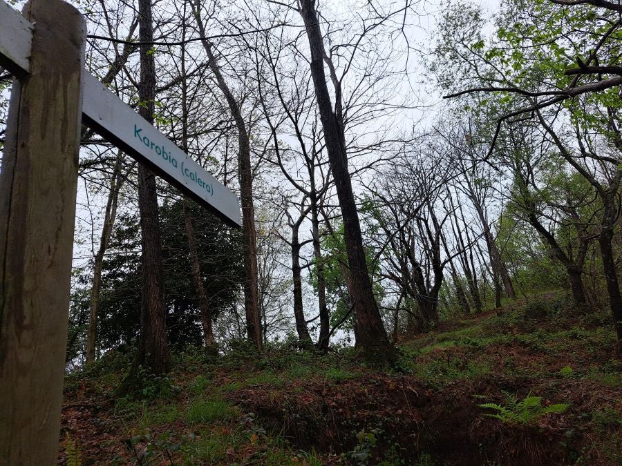 Txoritokieta: Un recorrido sencillo cargado de historia