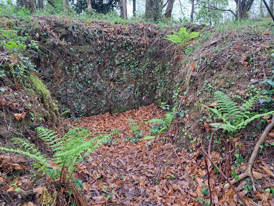 Txoritokieta: Un recorrido sencillo cargado de historia